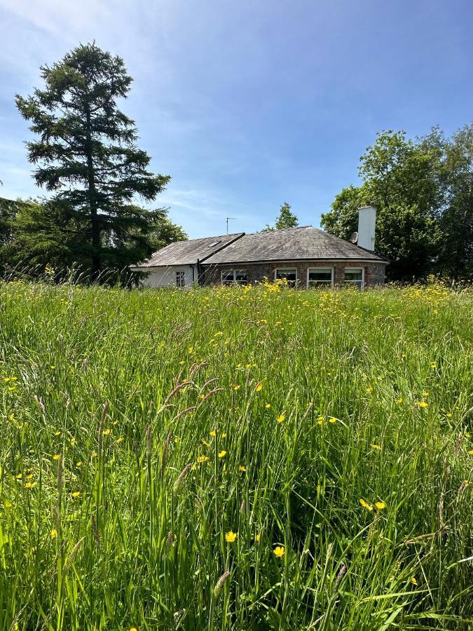 Balsoon Lodge Ναβάν Εξωτερικό φωτογραφία
